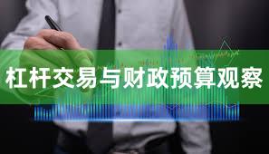 杠杆交易与财政预算观察