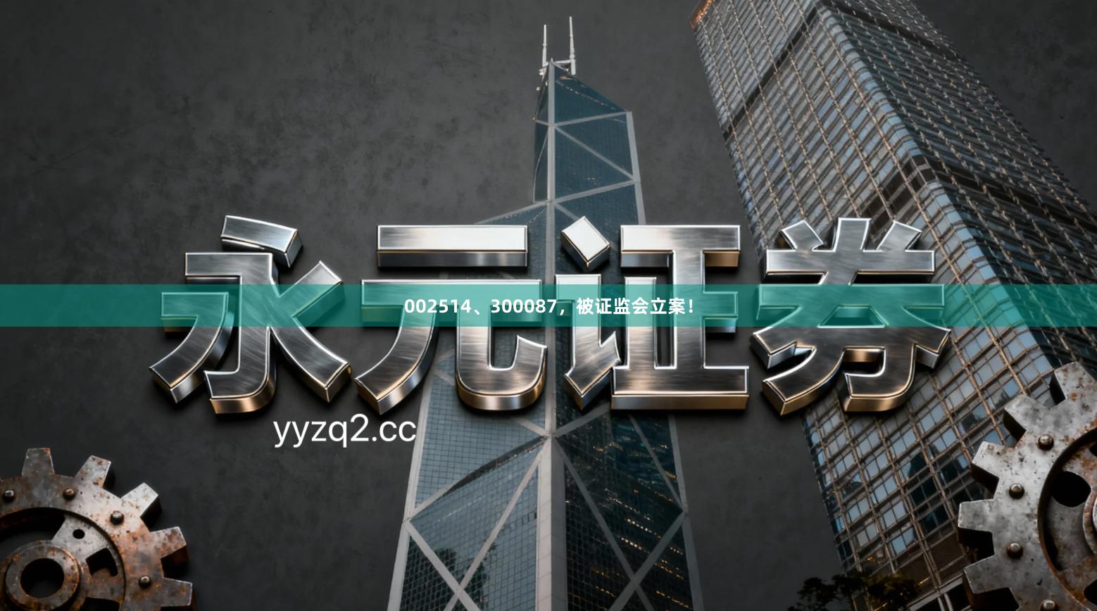 002514、300087,被证监会立案!