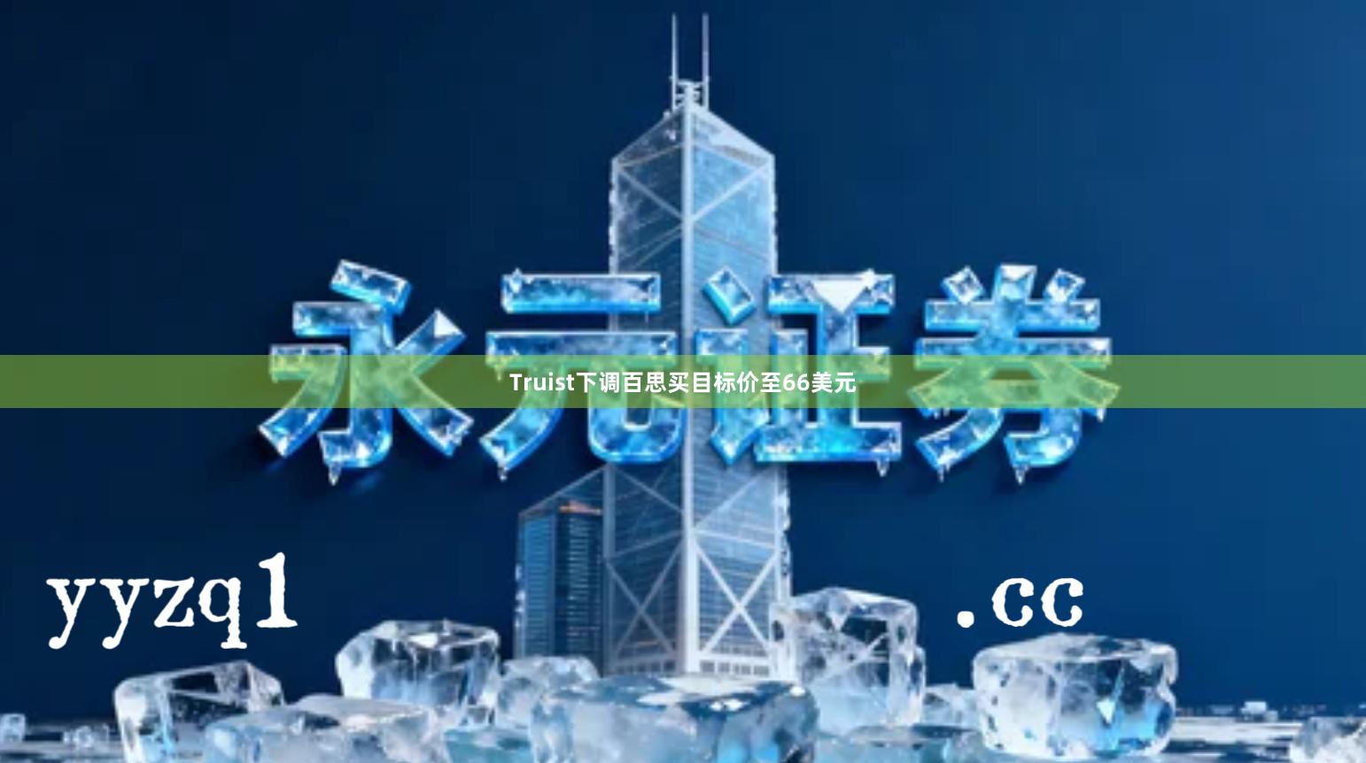 Truist下调百思买目标价至66美元